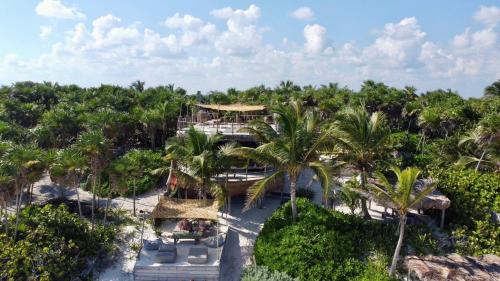 Casa Phoenix Private Beachfront Estate 7 Bungalows in เอ็กพูฮา