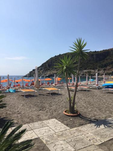Hotel Villa Degli Aranci - image 5