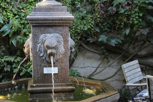 Hotel De Castillion - Small elegant family hotel - image 4
