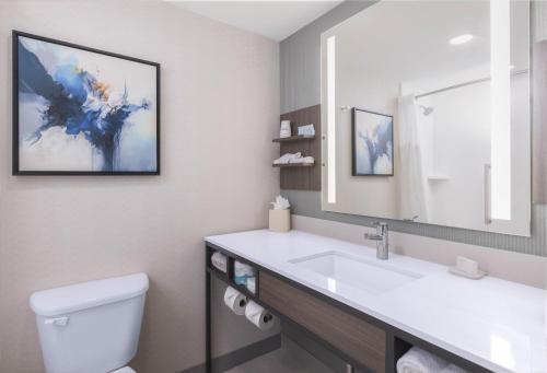 Hilton Garden Inn Des Moines/Urbandale - image 11