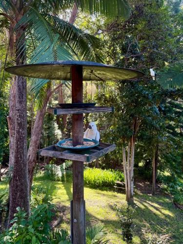 The Nature Nook – khách sạn tại Springbrook