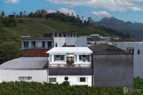 Fortune Cube, Dieng
