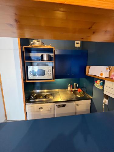 Val Thorens - Ski InOut - 5 Beds Flat M-801 - image 5