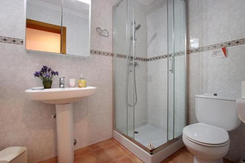Vidrier Campero - image 3