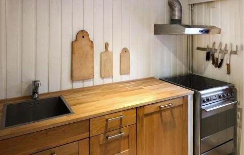 Kitchen, Nice Home In Sjusjøen With Wifi in Sjusjoen