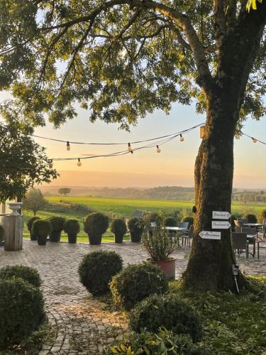 Erkély/terasz, Sfeervolle 4 persoons cottage vlakbij Valkenburg in Eys