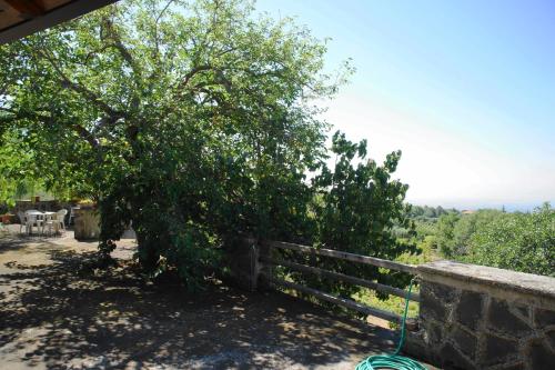 Etna Paradise locazioni brevi