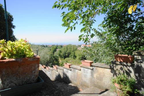 Etna Paradise locazioni brevi