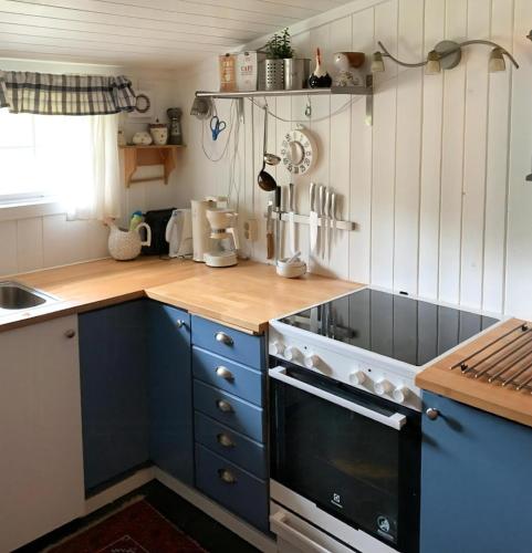 Unterkunft von außen, Family Cabin Near Rallarvegen And Geilo in Ustaoset