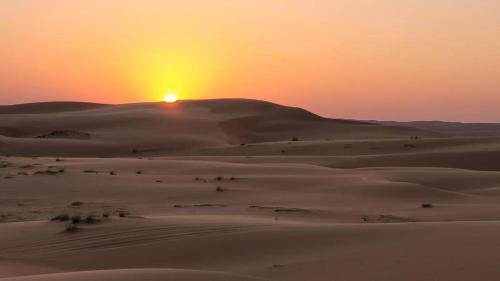 Moon light Luxury Camp Branch 2 in Al Wasil