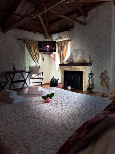 Δωματια Εξοχη-With fireplace and view to the sea - Αίγιο