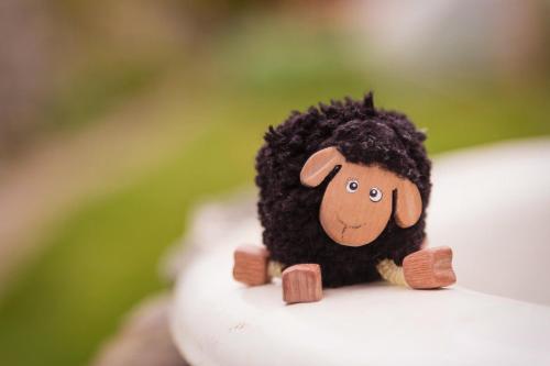 The Black Sheep Hostel - image 10