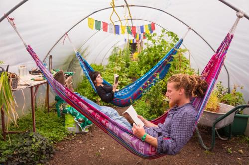 The Black Sheep Hostel in Killarney