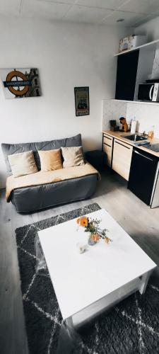 Charmant deux pièces centre Cantimpré3 - Location saisonnière - Cambrai