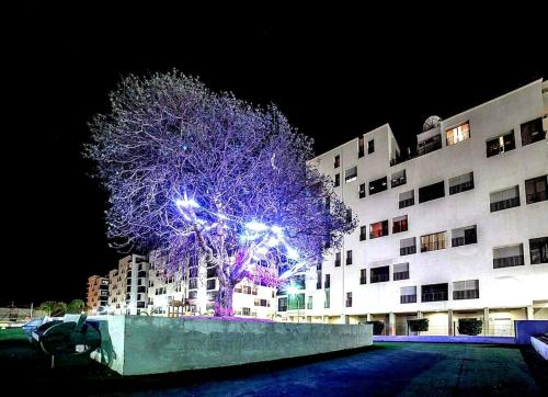 Espace, lumière & confort pour familles (Espace, lumiere & confort pour familles) in Bir El Djir