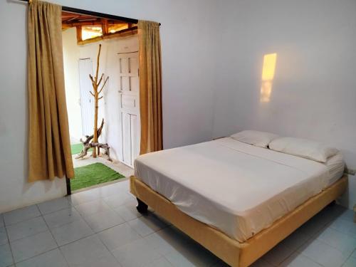 Mambo Ecohostal in San Lorenco
