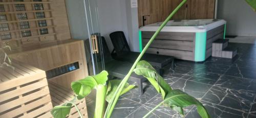 Słoneczna Dolina SPA Belle View, Sklářská Poruba (fotografie 9)