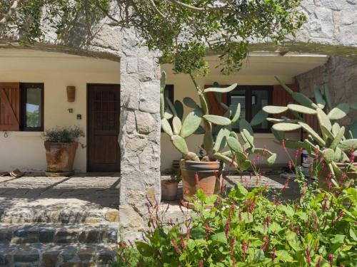 Casapueblo Rent Cachagua CP 18