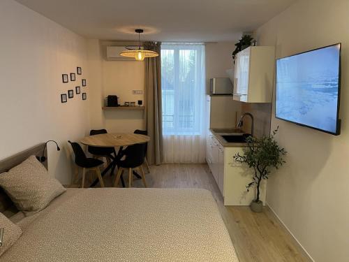 Studio Axel - Location saisonnière - Vesoul