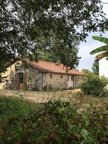 Charmant gîte à la campagne ! (Charmant gite a la campagne !) in Neuvy-Bouin
