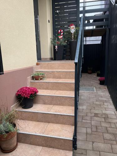Apartman Old Corner in Rezovac