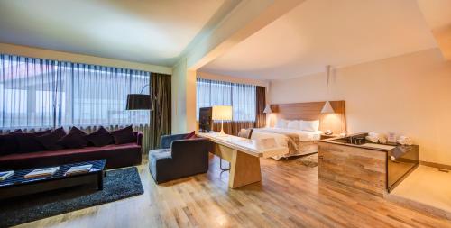 Wyndham Concepcion Pettra in Concepcion