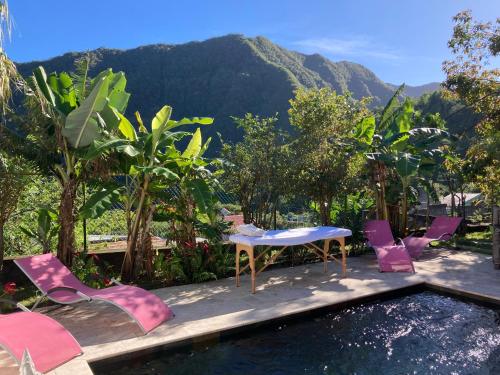 L oasis des cimes - Location, gîte - La Possession