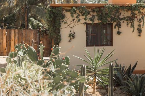Cien Palmas- Authentic Mexican Casita 2 -Downtown in Todos Santos, Mexico