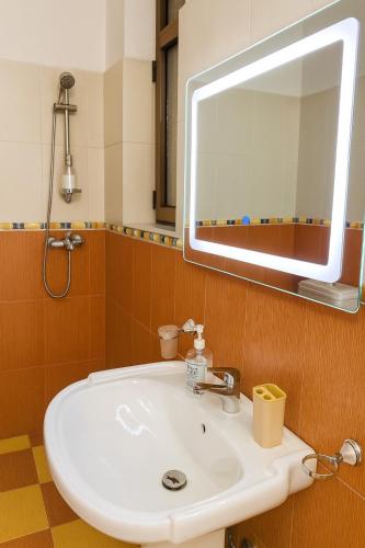 Cozy studio with sunny terrace, Tirana (foto 8)