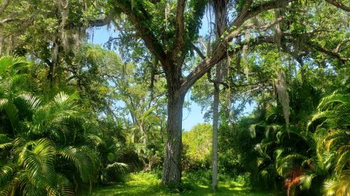 Florida Bungalow in Wabasso Beach (FL)