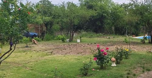 El mamboreta