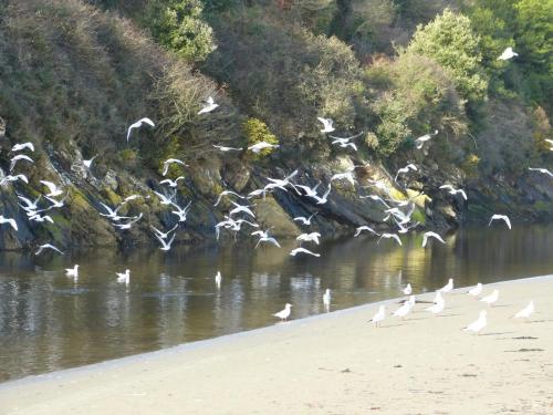 สภาพแวดล้อมโดยรอบ, Ti Gwen in โปลเนเวซ-ดู-ฟายู