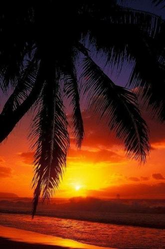 Fika beach homestay mangalam alappey - Kumarakom