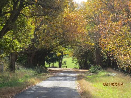 Walnut Cottage via Leongatha