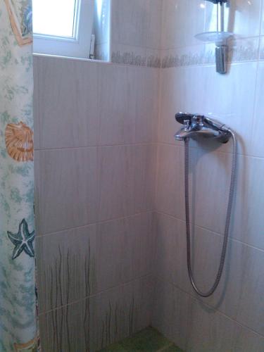 Spasic Apartment - image 3