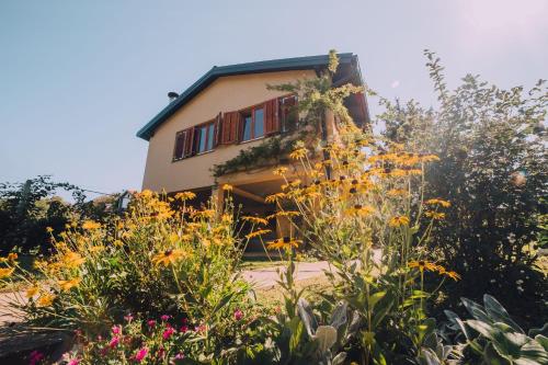  Holiday Home Castanea in Praporčan