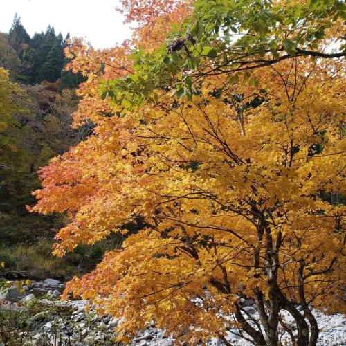 一色の森プライベートサウナからまつ山荘