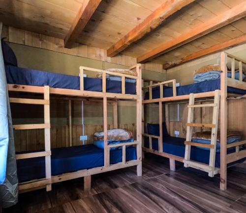 1 bunk bed
