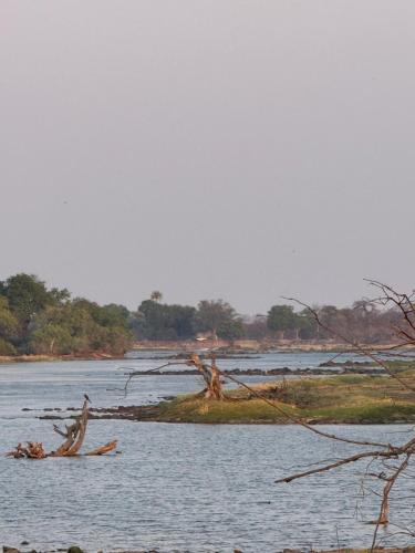 Zambezi Dream Cruiser - image 4