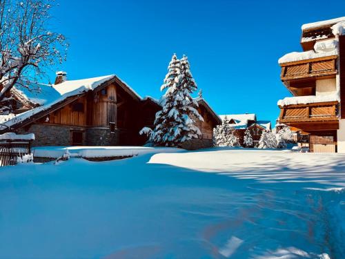Appartement - Alpe D'Huez-100 m des pistes