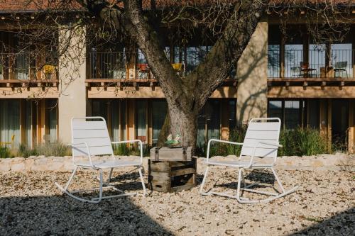 Dārzs, Villa del Brolo - Famiglia Furia in Mezzane Di Sotto
