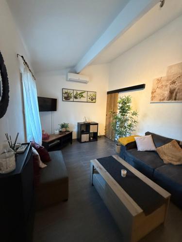 Maison avec jardin à 8 min de l'aéroport gîte à louer La Tuilière