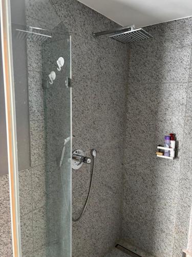 Bretten Suites in 布萊藤