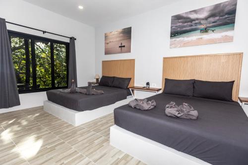 Shiralea Backpackers Resort in Ko Pha-ngan