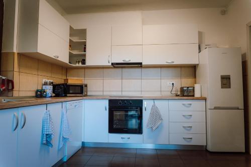 virtuve, Pensiunea Nossa Panzió (Pensiunea Nossa Panzio) in Corunca