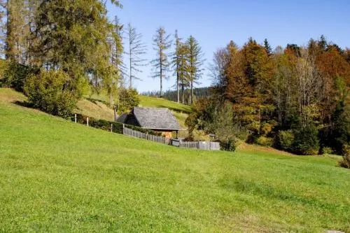 Kuschelhütte in Neukirchen, Österreich