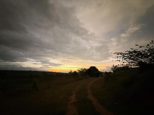 Tusker & Gaur - Bandipur in Guruvegowdanhundi