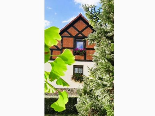 FW "Landperle" ID16227 in Jabel