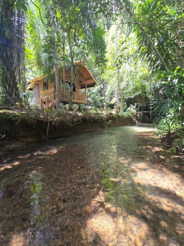 Khao Sok Silver Cliff Resort in Phanom