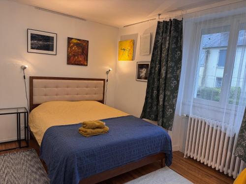 Villa Auguste chambres d'hôtes - Chambre d'hôtes - Quimper